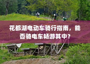 电车车型模式概览，多样选择，总有一款适合你