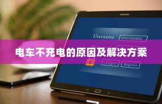 真皮电车坐垫套的通用性与市场探讨
