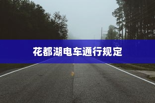花都湖电车通行规定探究与解析