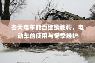 电车自燃现象深度解析，品牌差异与事故原因探究