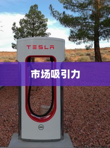 特斯拉充电车价位与市场吸引力深度解析