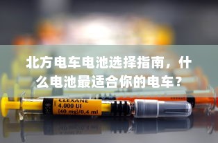 货拉拉电车价格深度解析