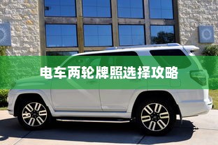 电车两轮牌照选择攻略，如何挑选最佳电车牌照