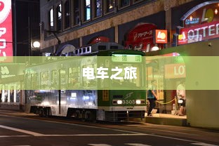 新能源电车电池质保深度解析与探讨
