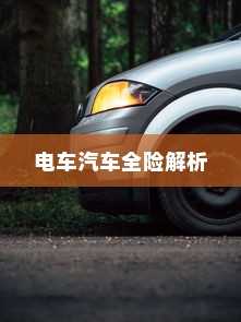 电车汽车全险解析与探讨