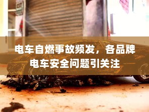 电车自燃现象深度解析，品牌差异与事故原因探究