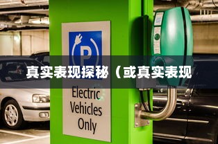 电动车停车状态续航性能解析，真实表现探秘