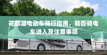 电车电瓶加什么酸，深度解析与操作指南