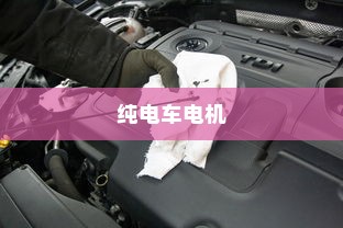 电车电瓶加什么酸，深度解析与操作指南