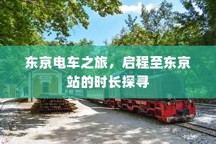 真皮电车坐垫套，通用性知识探讨与相关知识解读