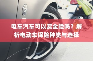 电车汽车可以买全险吗？解析电动车保险种类与选择