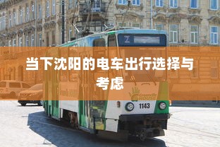 当下沈阳的电车出行选择与考虑