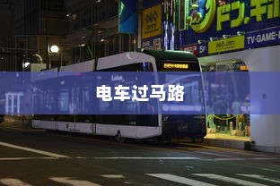 关于电动车电池选择的探讨，九号大电池是否适用于电车？