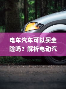 电车汽车可以买全险吗？解析电动汽车保险种类与选择