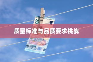 深度解析，外贸鞋业的质量标准与品质要求挑战
