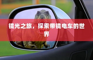 电车保险全解析，能否购买全险？