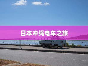 远视外贸猫结构，深度探索与解析