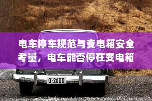 真皮电车坐垫套，通用性详解与选购指南
