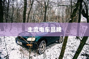 电车电池衰减现象深度探究