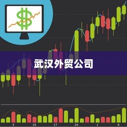 武汉外贸公司多元化战略下的蓬勃发展之路