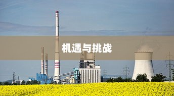 外贸过来人分享经验，做外贸是否值得一试？探讨外贸行业的机遇与挑战。