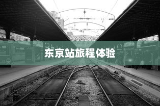 电车之旅，探寻东京站的旅程时间与风情体验
