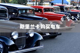 斯里兰卡购买电车是否划算，全面解析与考量