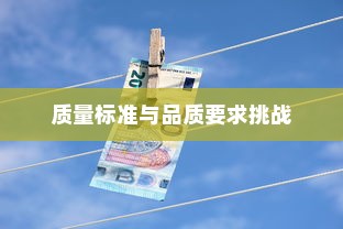 深度解析，外贸鞋业的质量标准与品质要求挑战
