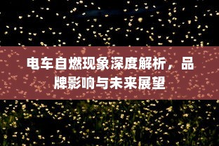 电车自燃现象深度解析，品牌影响与未来展望