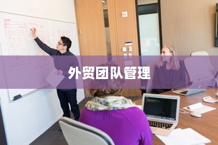 高效外贸团队打造，外贸员管理与优化策略