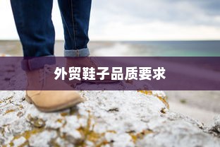 外贸鞋子品质要求深度探究与解析