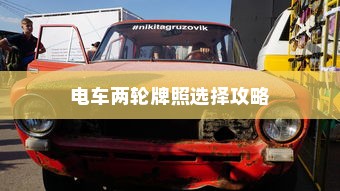 电车两轮牌照选择攻略，如何挑选最佳电车牌照