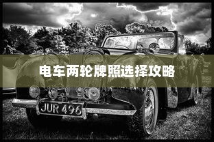 电车两轮牌照选择攻略，如何挑选最佳电车牌照