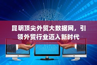 昆明顶尖外贸大数据网，引领外贸行业迈入新时代