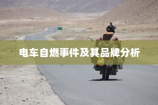 电车自燃事件及其品牌分析