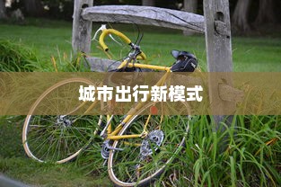 城市出行新模式，共享电车配头盔，安全与便捷并行