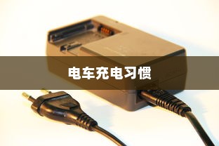 探讨电车充电习惯与电池寿命，隔天充电可行吗？