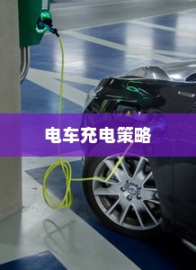 电动车充电频率与电池寿命的探究，电车隔天充电是否可行？