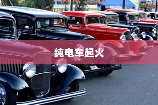纯电车起火车型全面解析