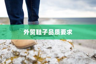 外贸鞋子品质要求深度探究与解析