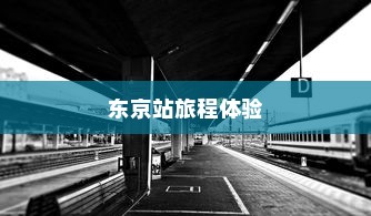 电车之旅，探寻东京站的旅程时间与风情体验