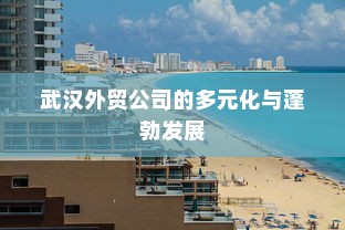 武汉外贸公司的多元化与蓬勃发展