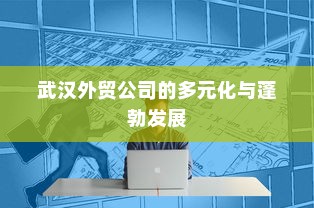 武汉外贸公司的多元化与蓬勃发展