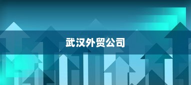 武汉外贸公司多元化战略下的蓬勃发展之路