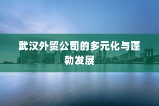 武汉外贸公司的多元化与蓬勃发展