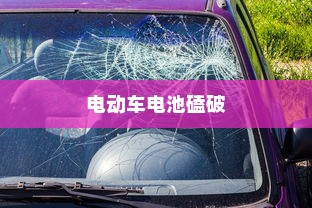 电动车电池磕破后的保险保障解析