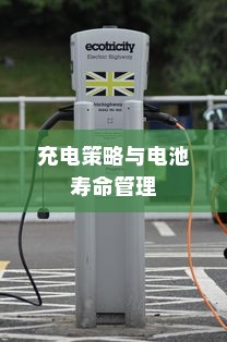 电车电量降至30%时的充电策略与电池寿命管理探讨