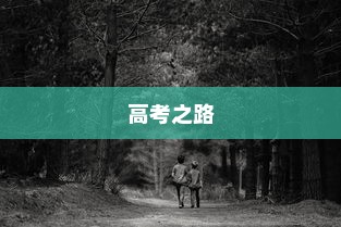 刻苦拼搏铸就辉煌，高考之路的坚韧探索之旅