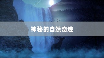 世界十大不可思议的生物，探寻神秘的自然奇迹