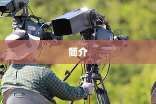 IP摄像机厂家及简介
